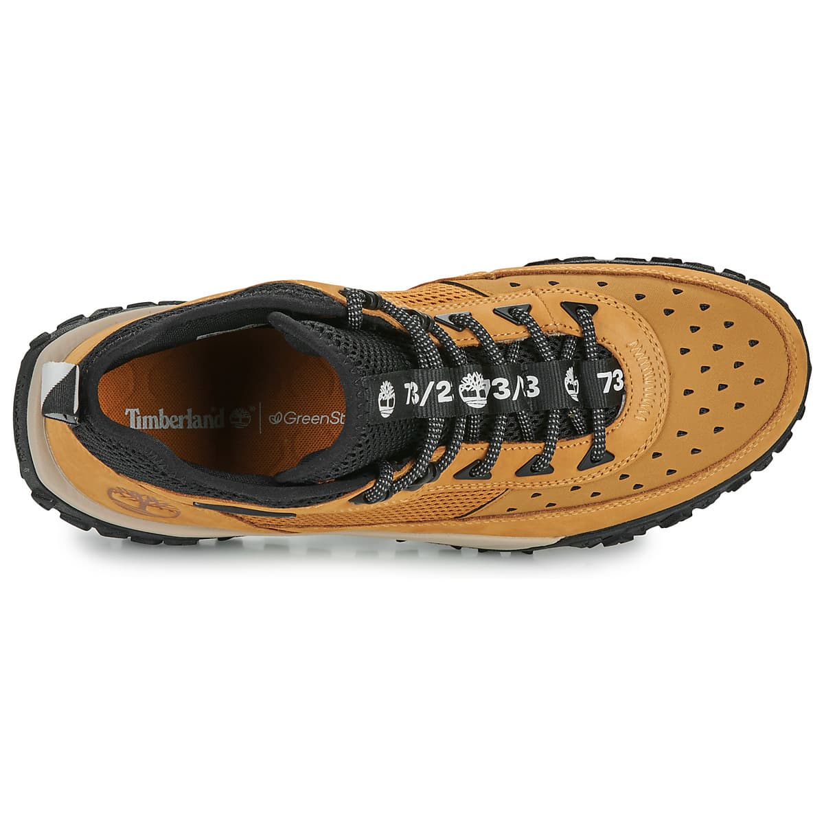 Men's Sneakers Timberland Brown