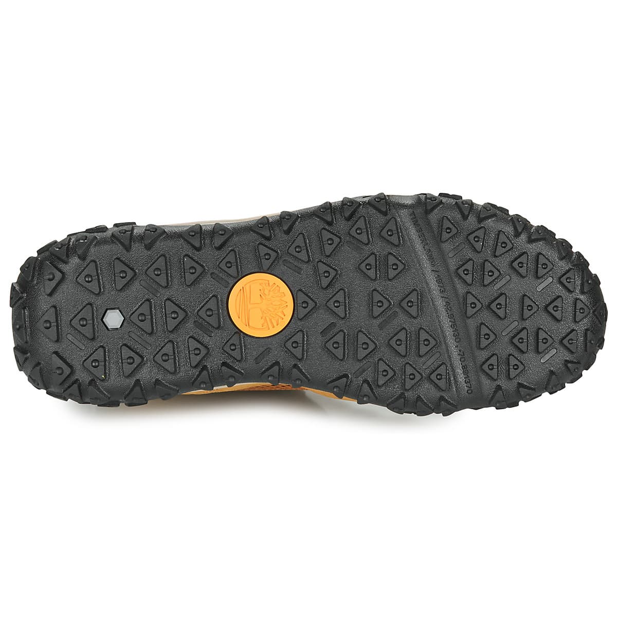 Men's Sneakers Timberland Brown