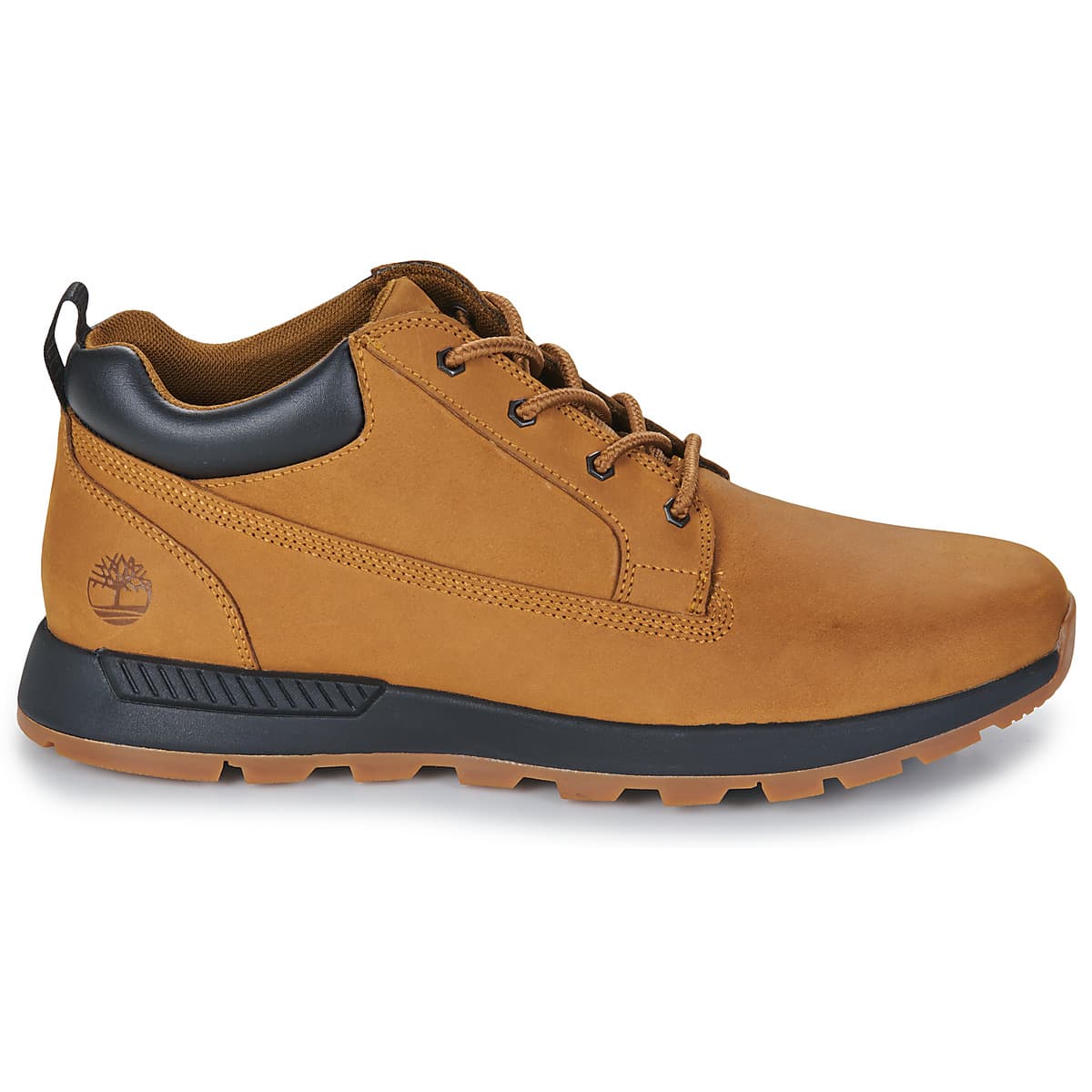 Men's Sneakers Timberland Brown