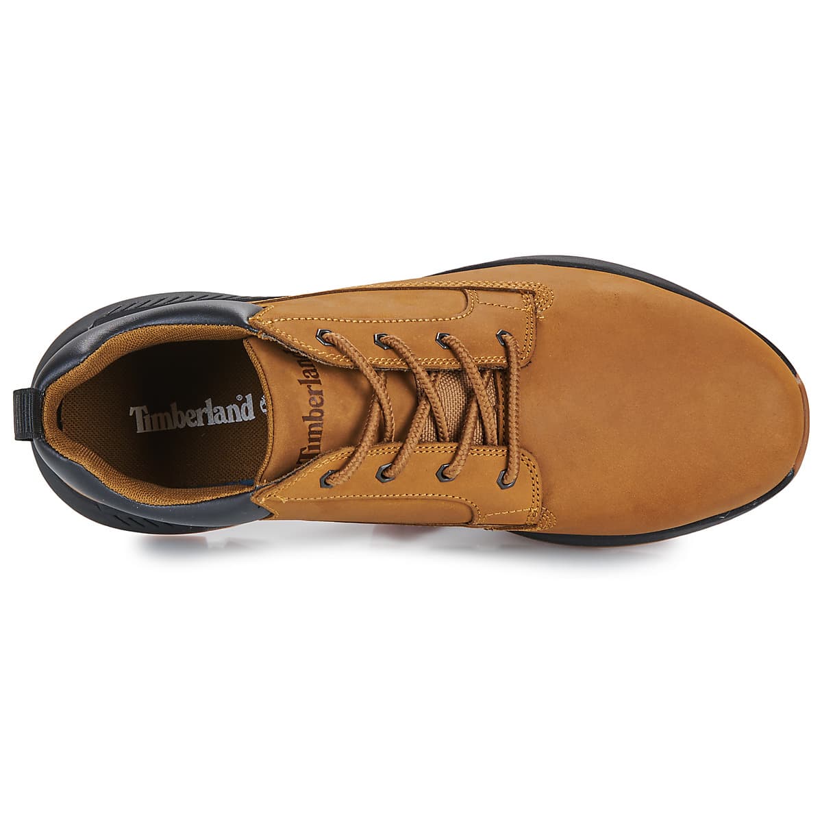 Men's Sneakers Timberland Brown