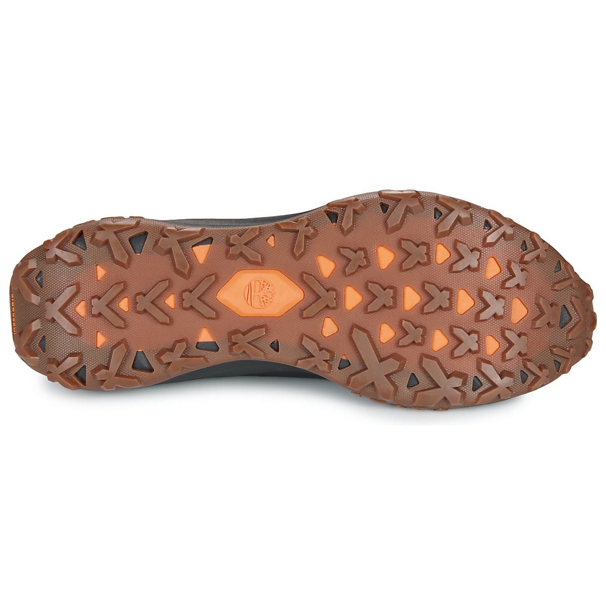 Men's Sneakers Timberland Gray