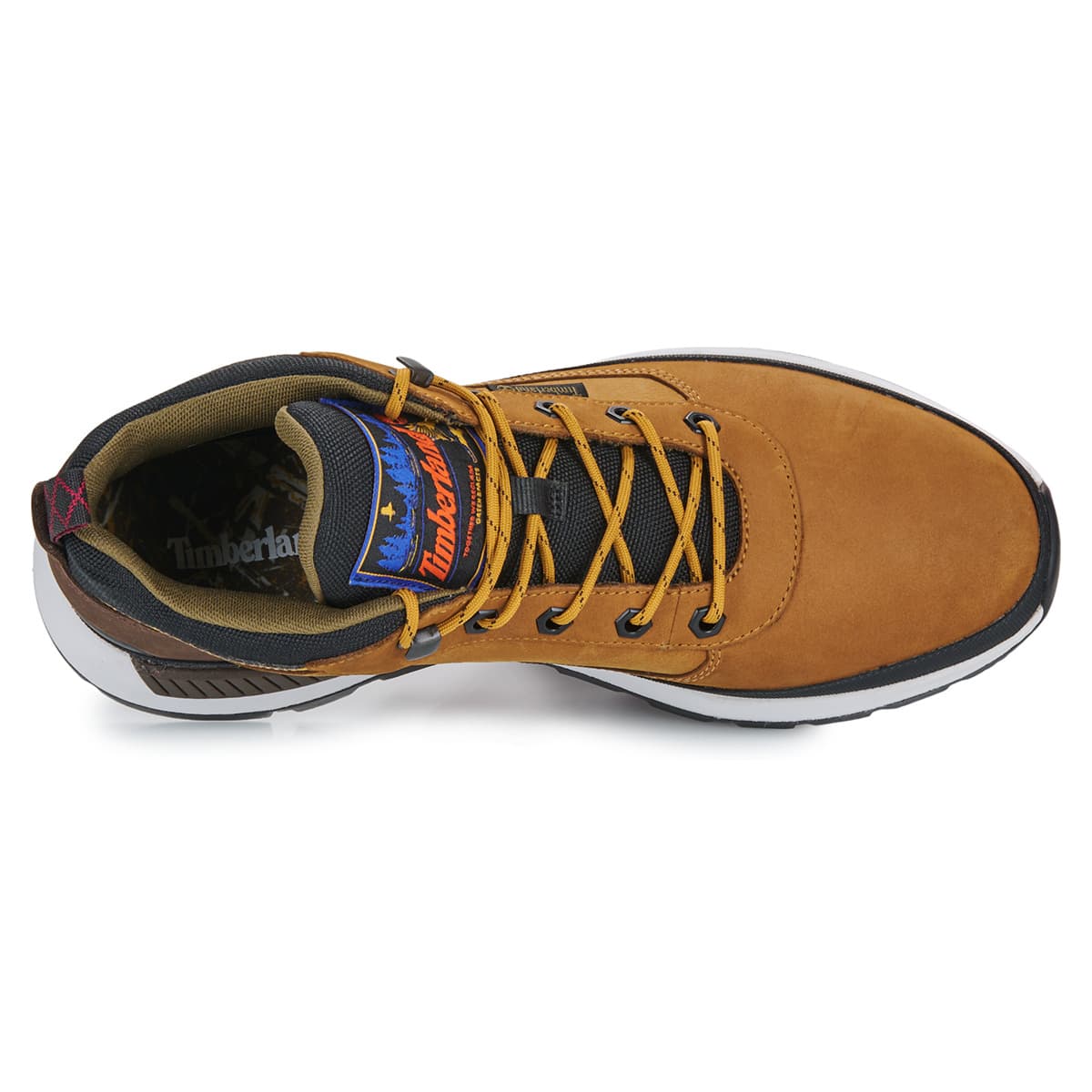 Men's Sneakers Timberland Brown