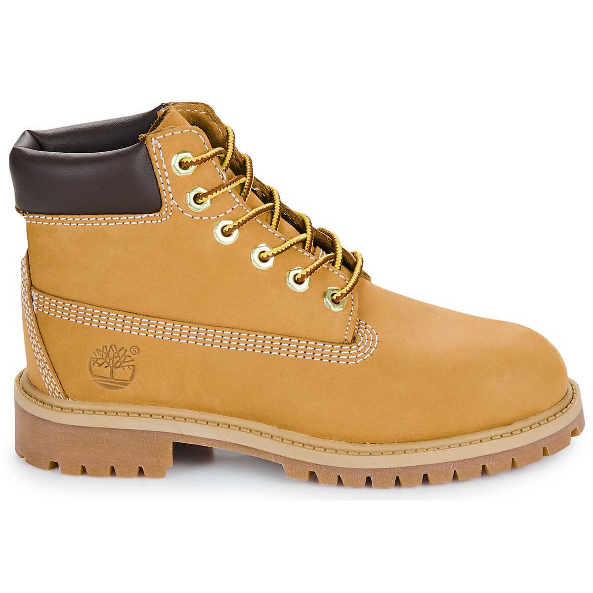 Boys' Boots Timberland Brown