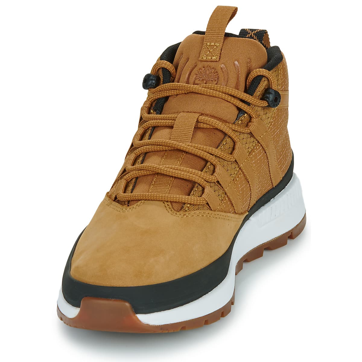 Boys' Sneakers Timberland Brown