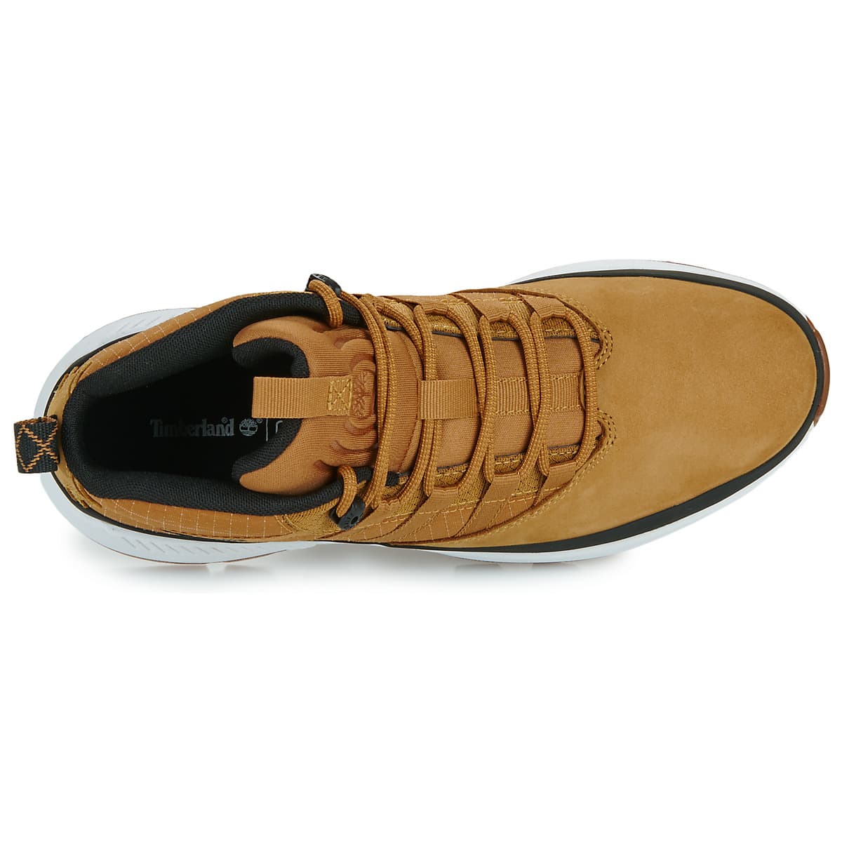 Boys' Sneakers Timberland Brown