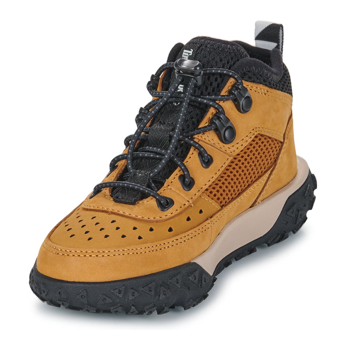 Boys' Sneakers Timberland Brown