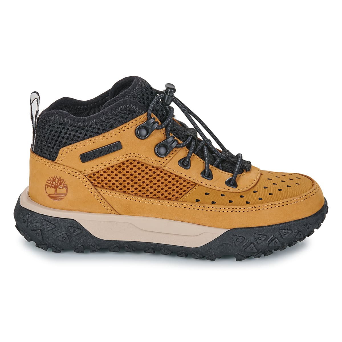 Boys' Sneakers Timberland Brown