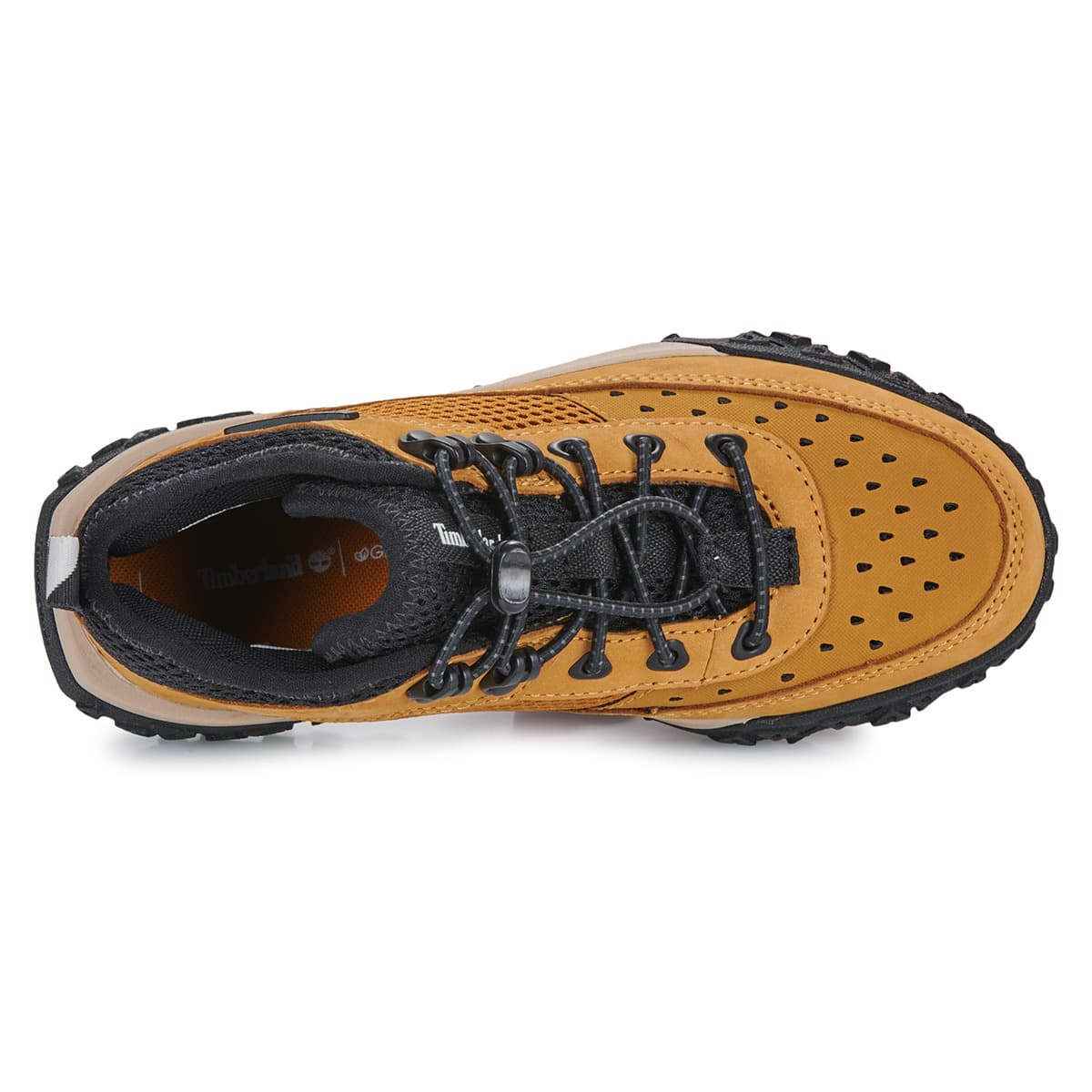 Boys' Sneakers Timberland Brown