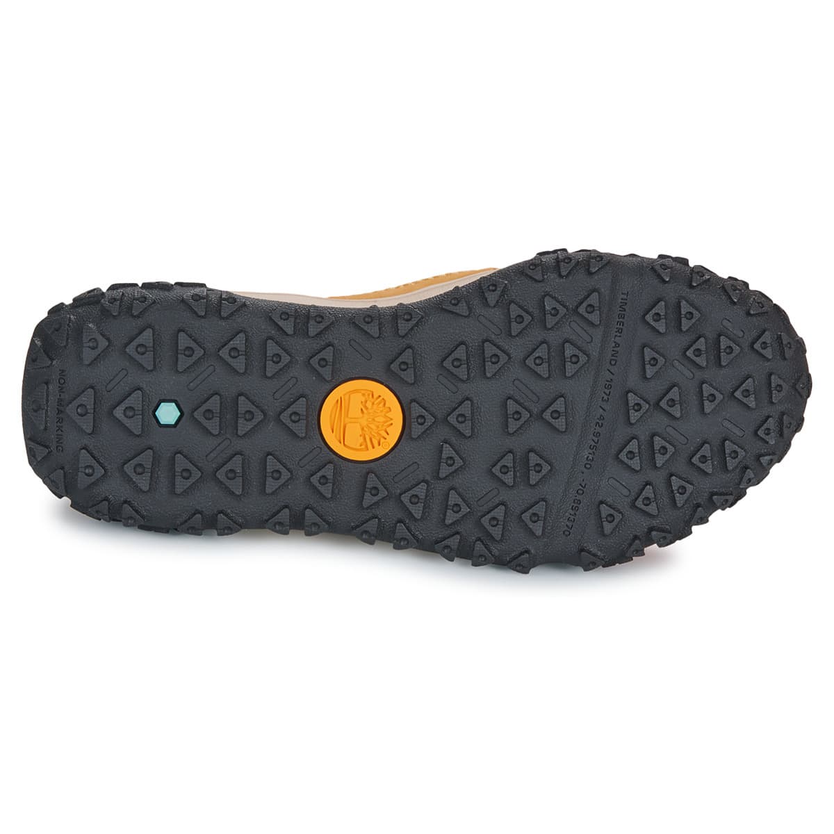 Boys' Sneakers Timberland Brown