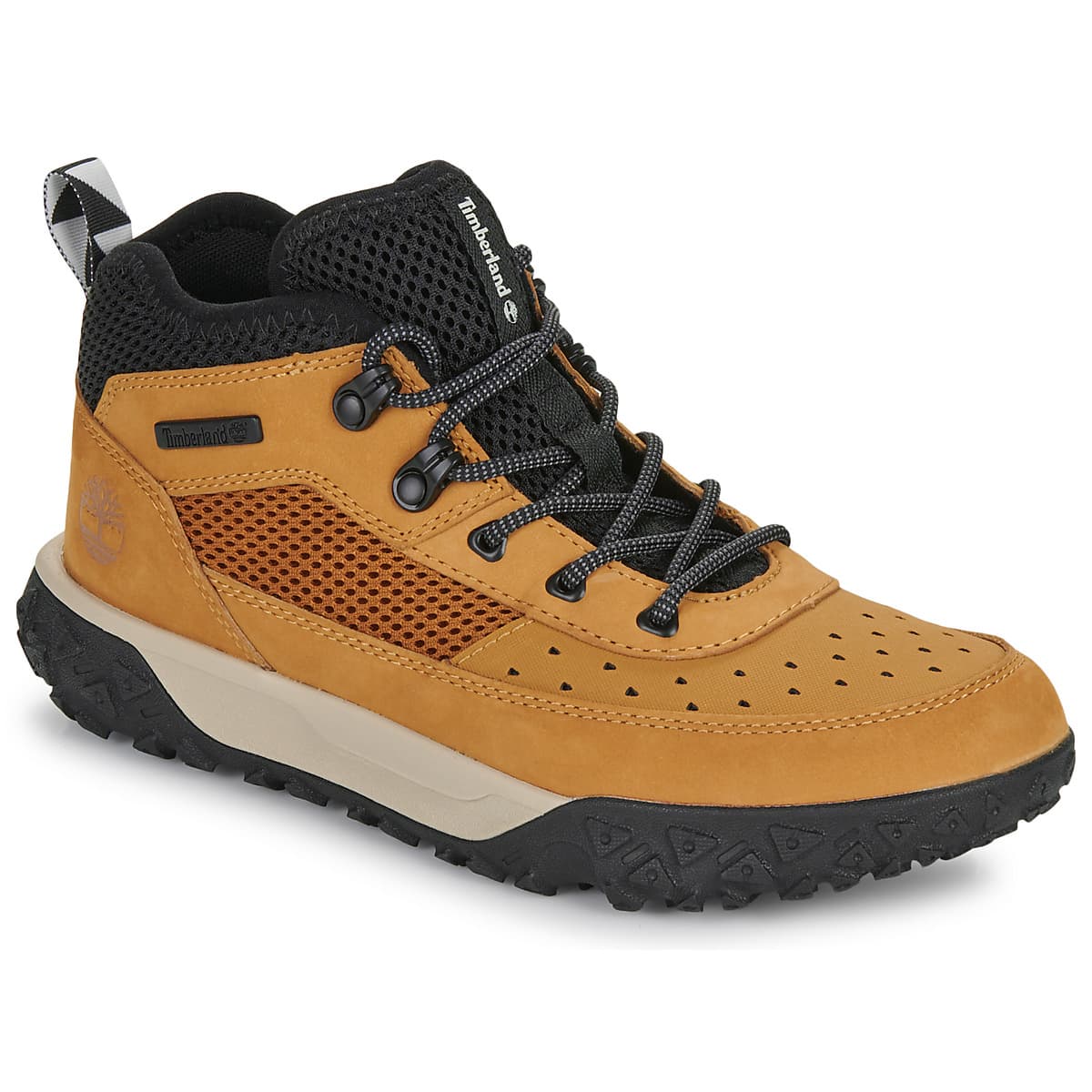 Boys' Sneakers Timberland Brown