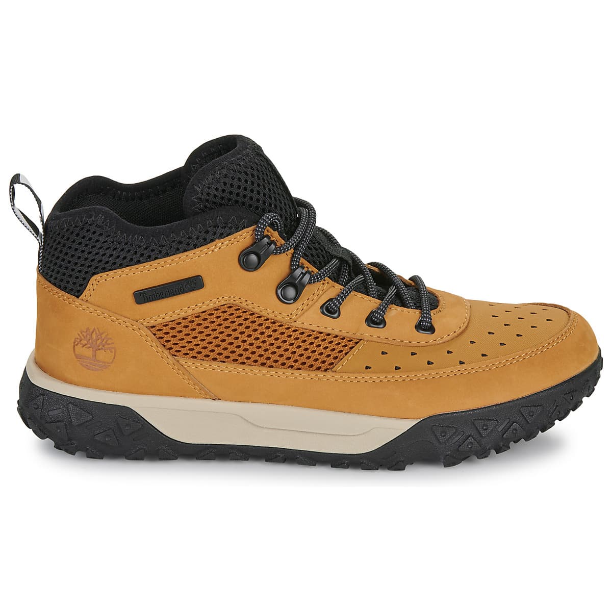 Boys' Sneakers Timberland Brown