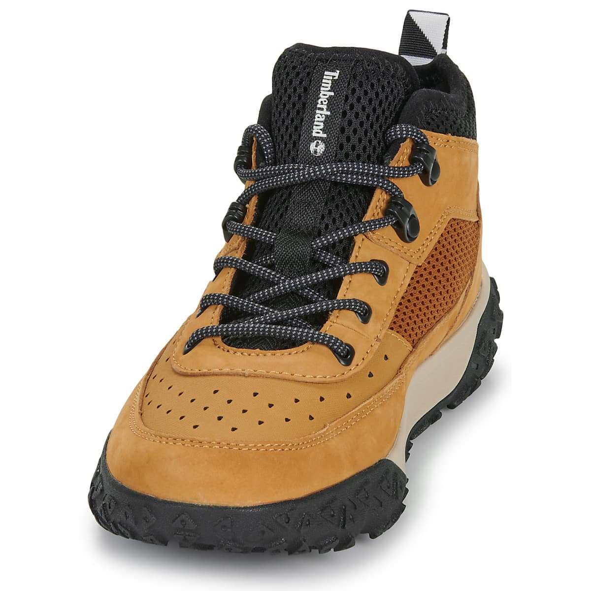 Boys' Sneakers Timberland Brown