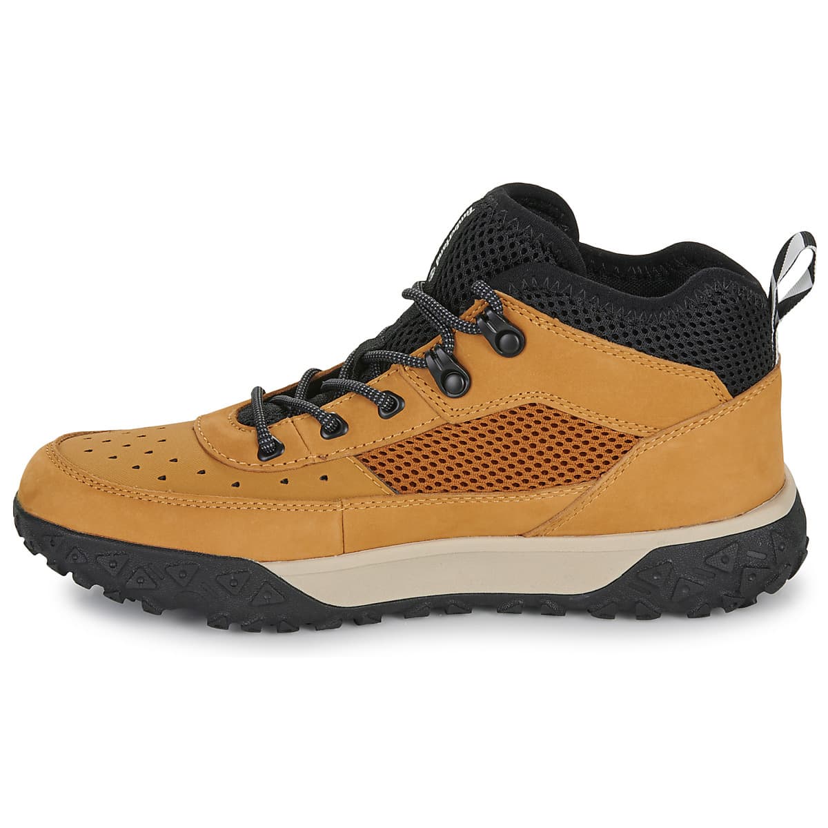 Boys' Sneakers Timberland Brown