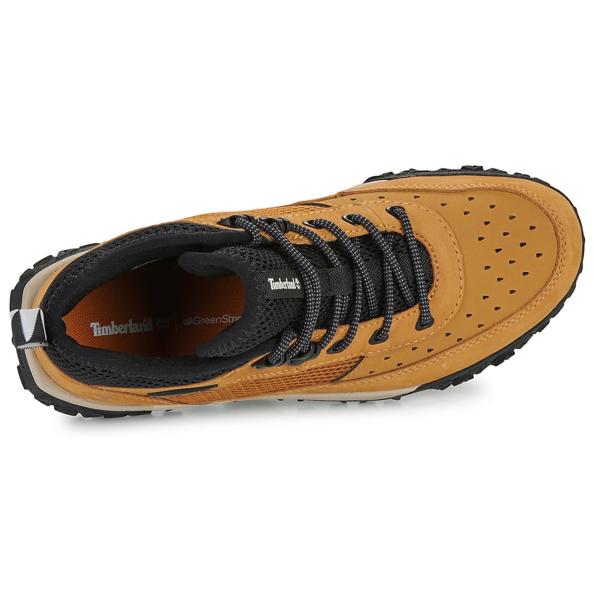 Boys' Sneakers Timberland Brown