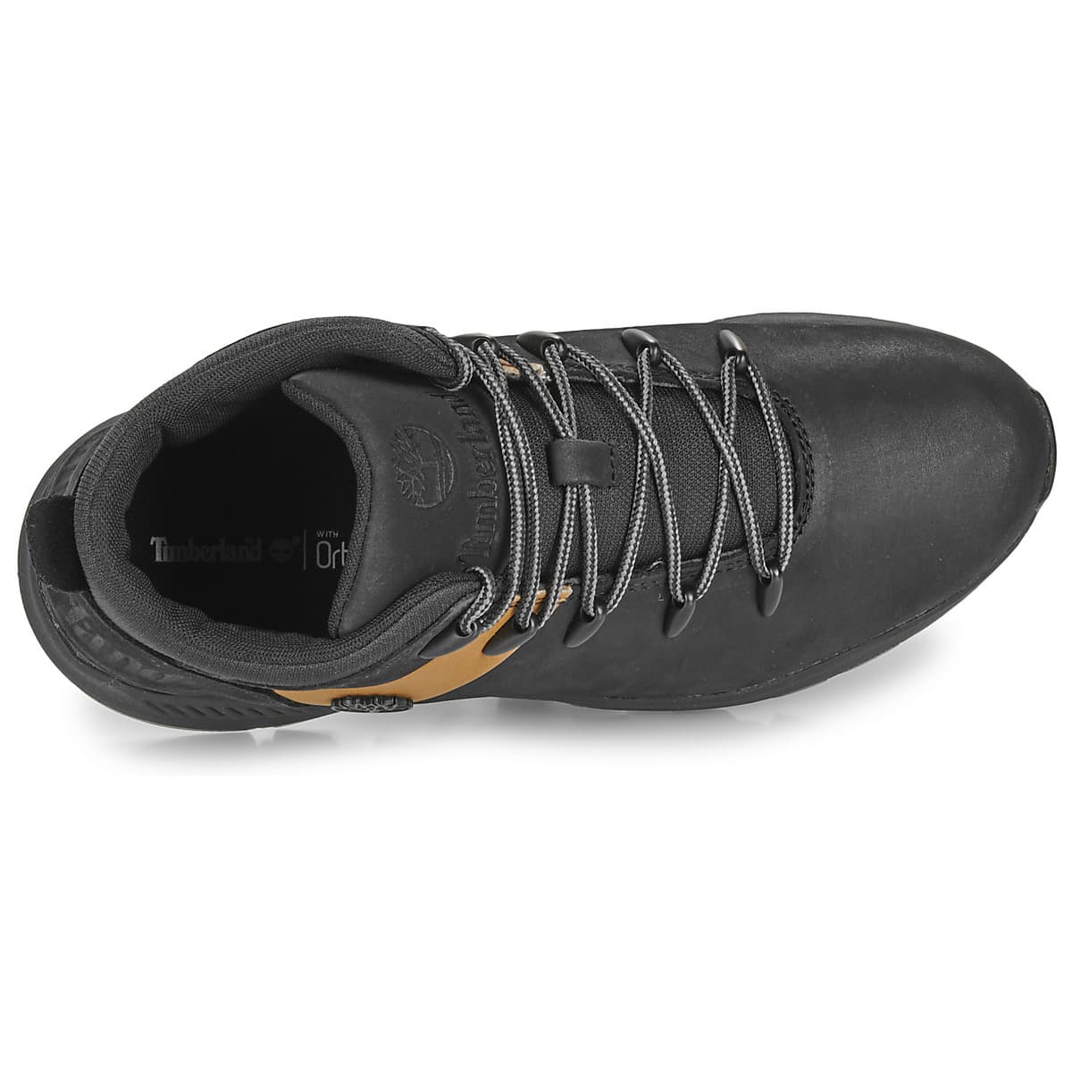 Girls' Sneakers Timberland Black