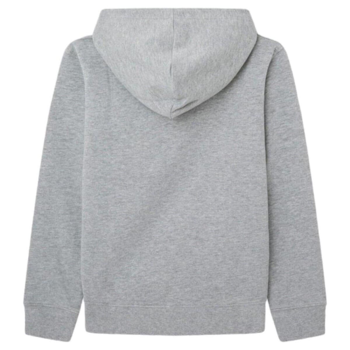 Boys' Hoodies & Sweatshirts Pepe Jeans Gray