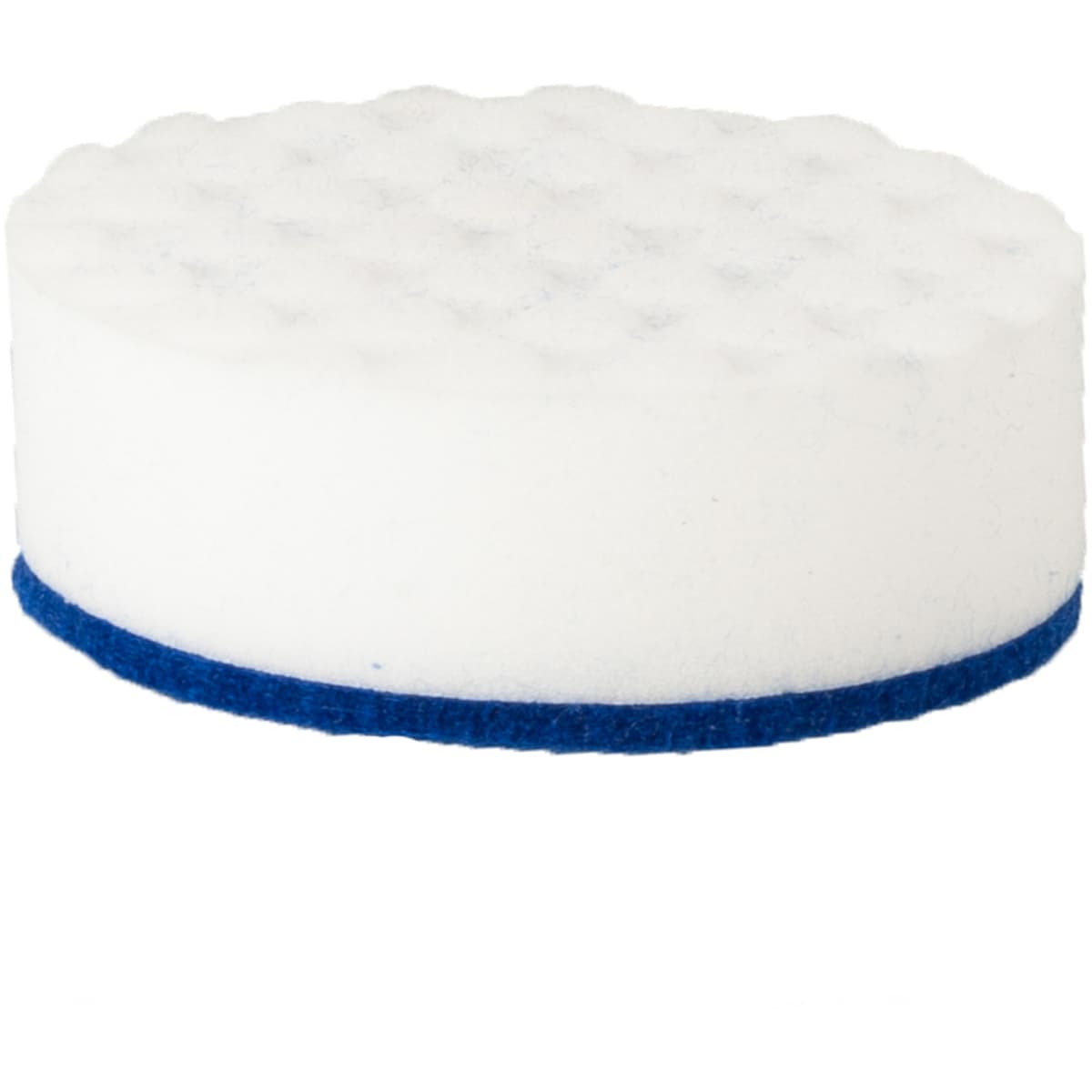 Women's Shoes Skechers