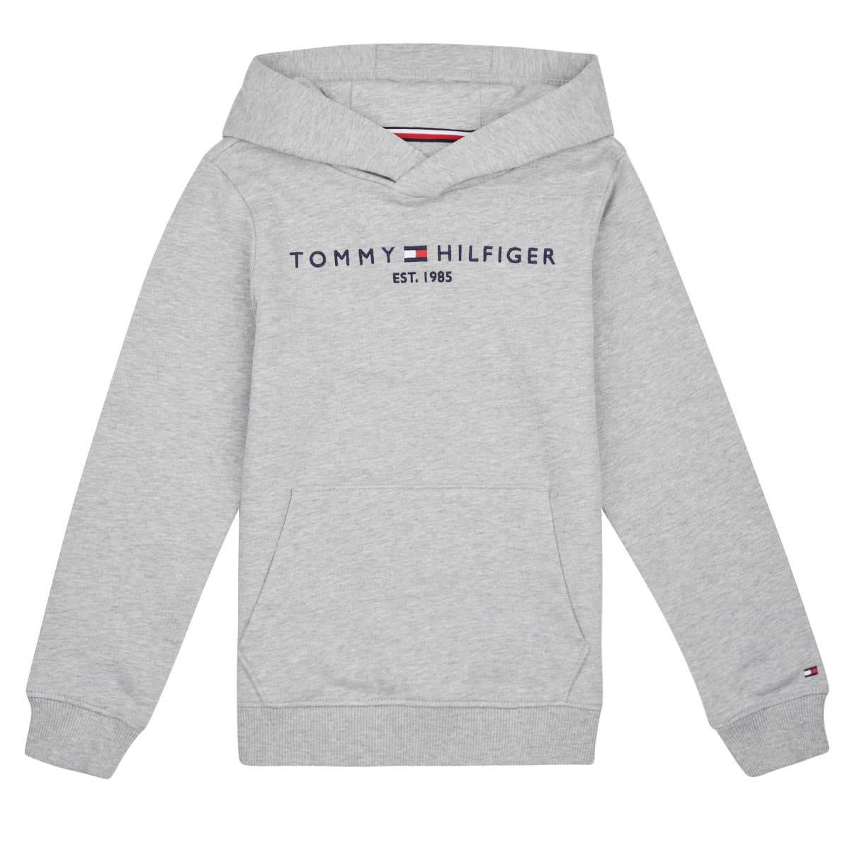 Boys' Hoodies & Sweatshirts Tommy Hilfiger Gray