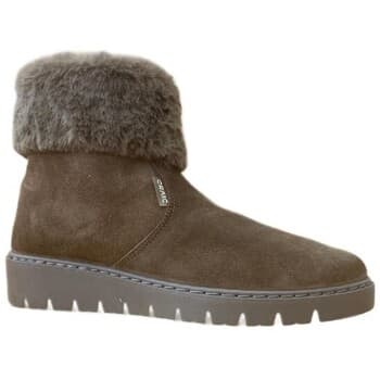 Men's Boots Titanitos Brown