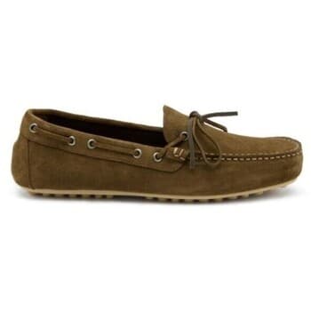 Men's Loafers Frau Brown