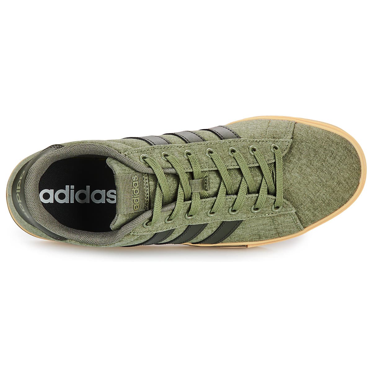 Men's Sneakers adidas Khaki