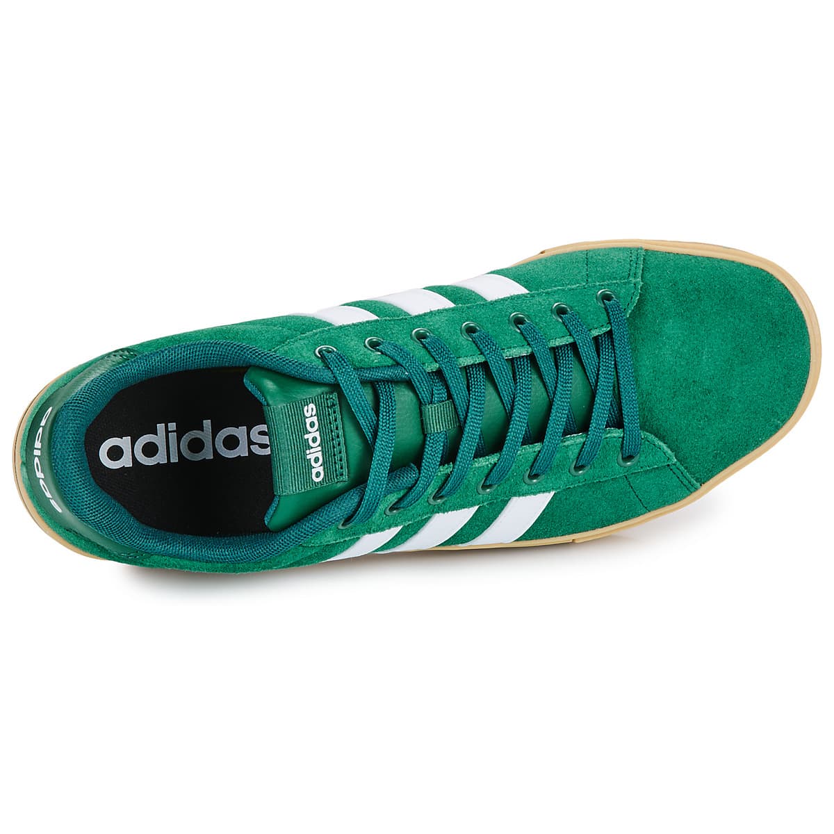 Men's Sneakers adidas Green