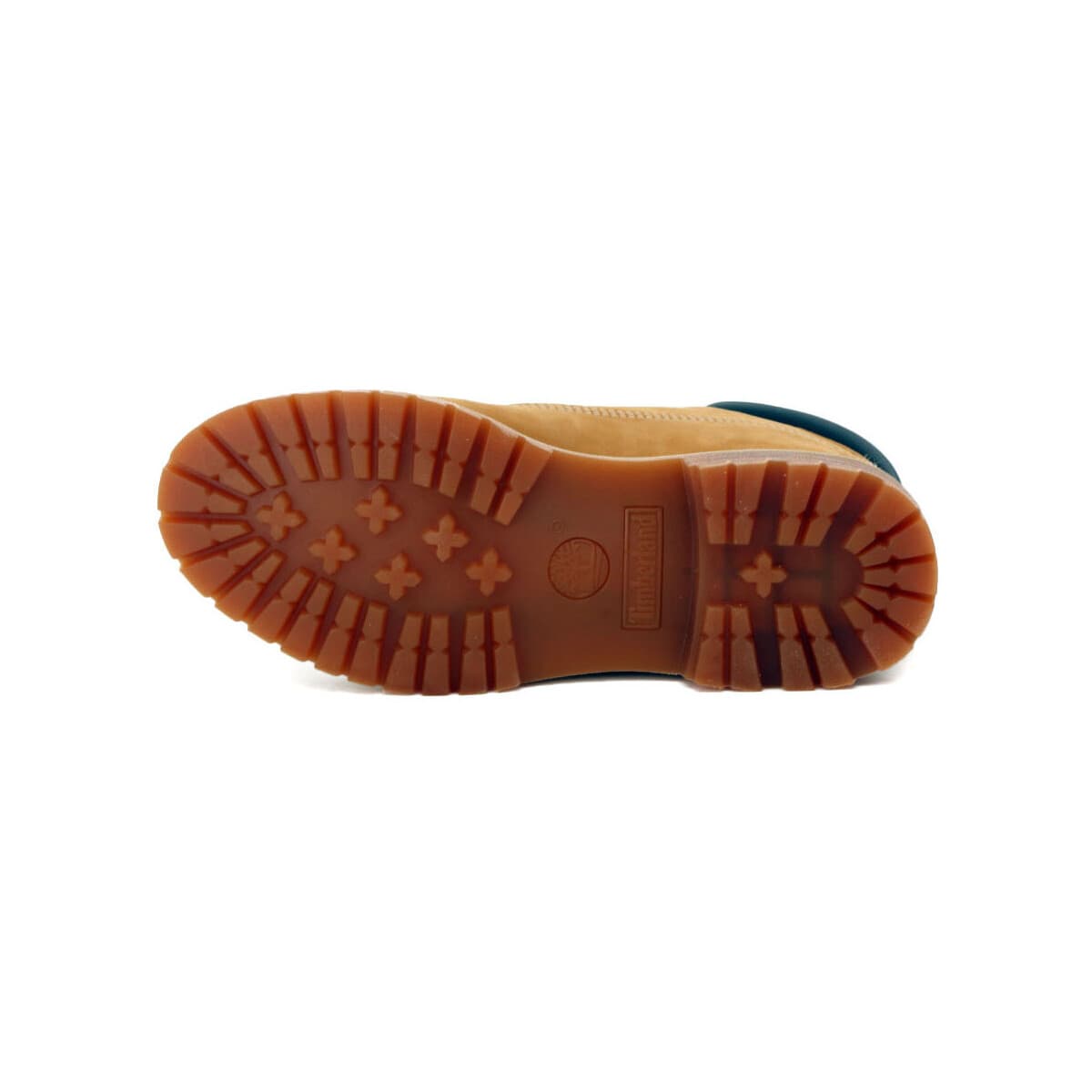 Women's Boots Timberland Multicolor