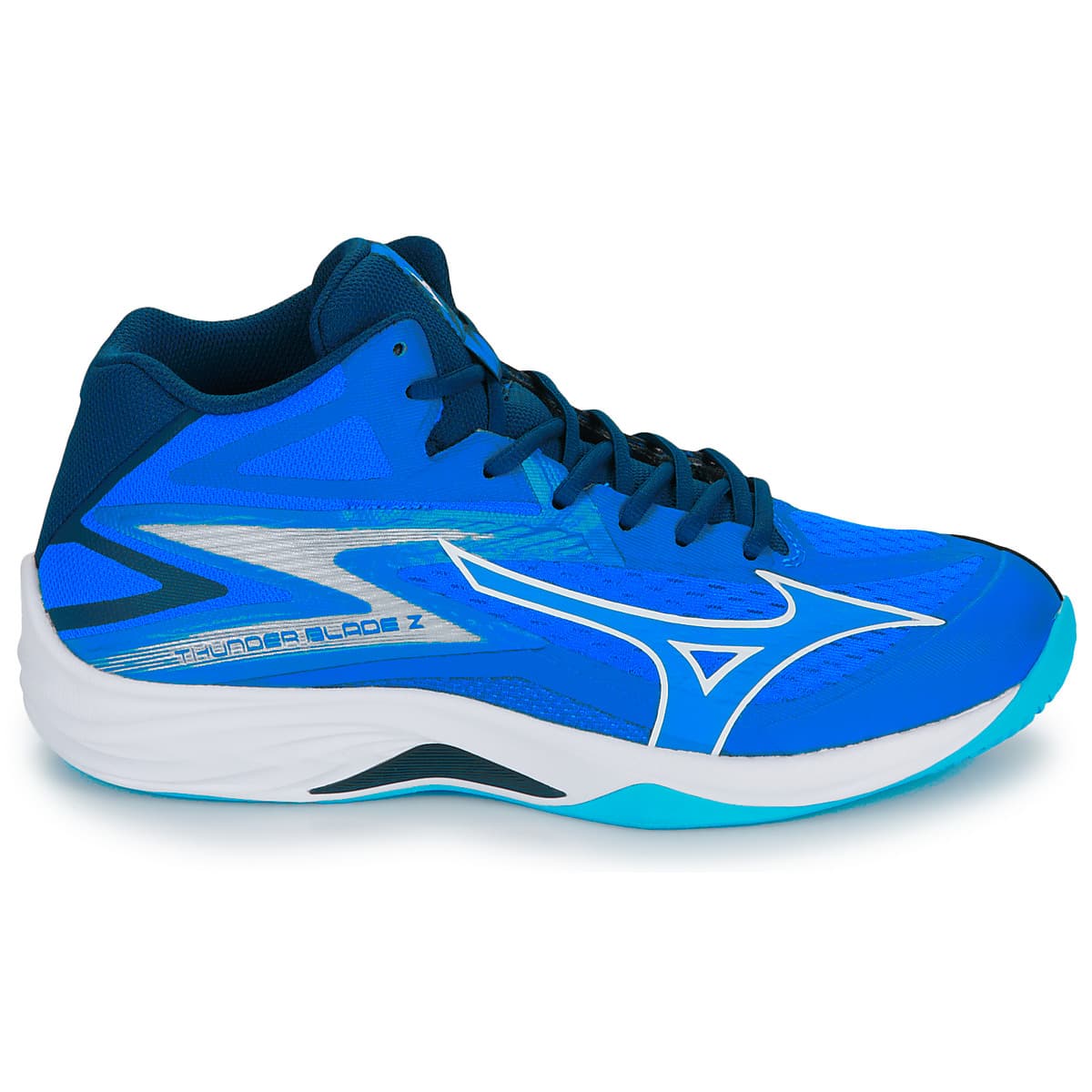 Men's Gym Shoes Mizuno Blue
