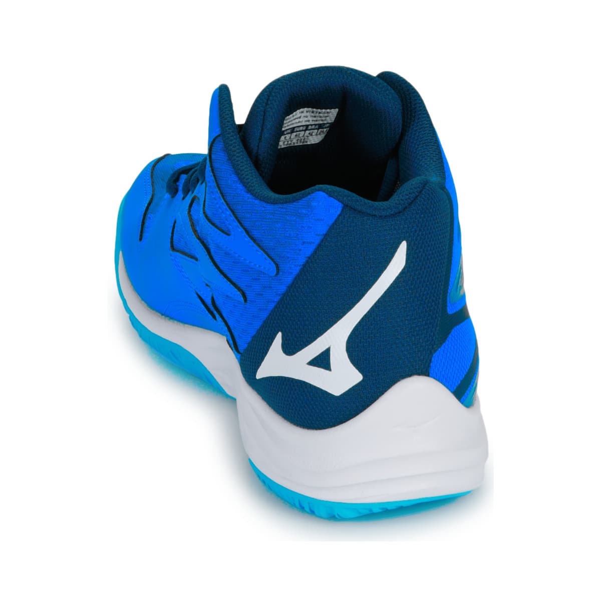 Men's Gym Shoes Mizuno Blue