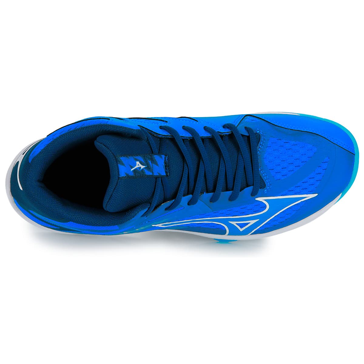Men's Gym Shoes Mizuno Blue