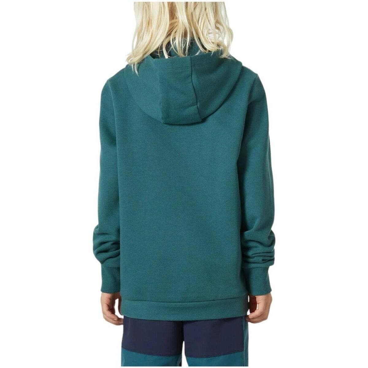 Boys' Hoodies & Sweatshirts Helly Hansen Green