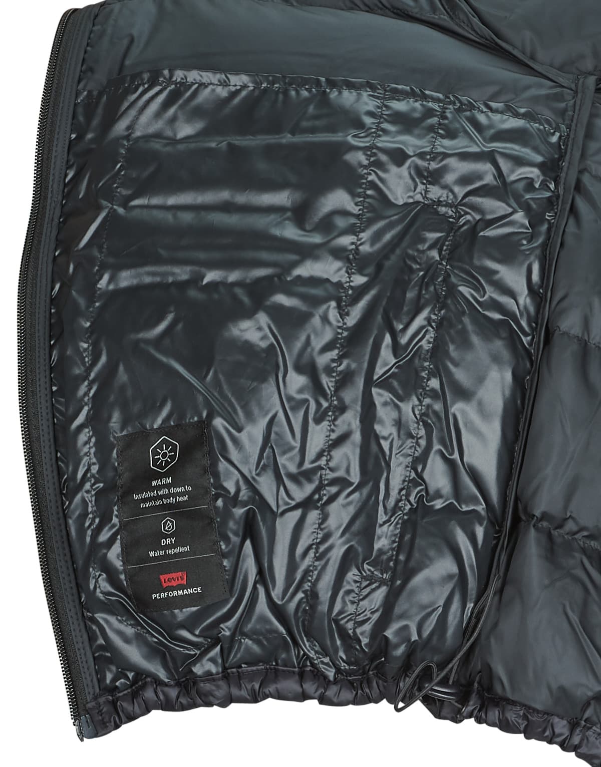 Women's Jackets Levis Black