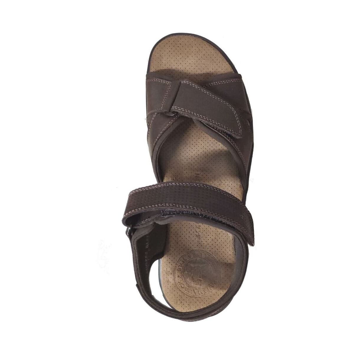 Men's Sandals Panama Jack Brown