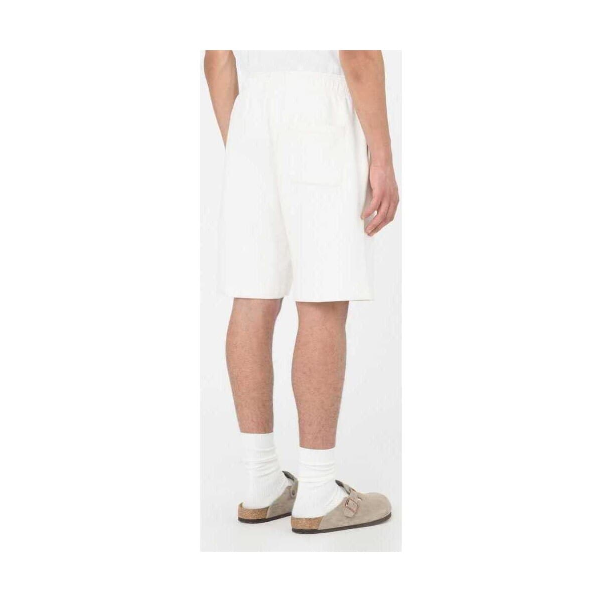 Men's Shorts Dickies Beige