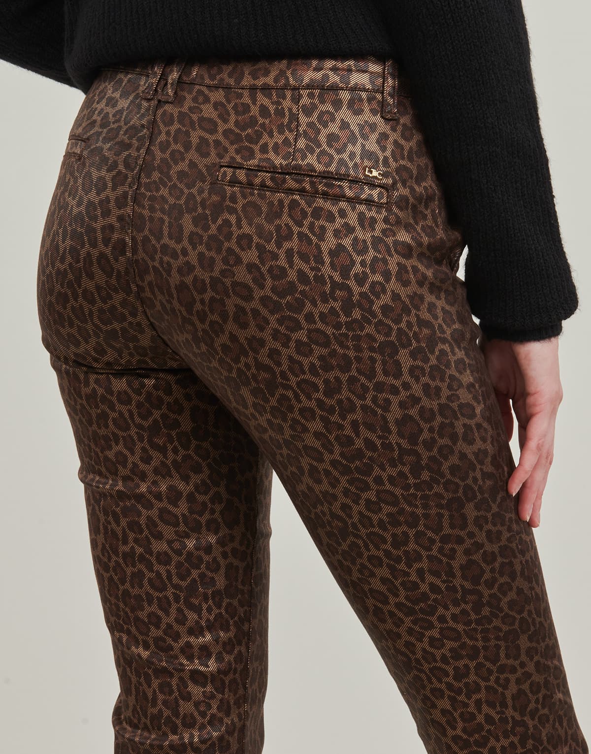 Women's Pants Le Temps des Cerises Brown