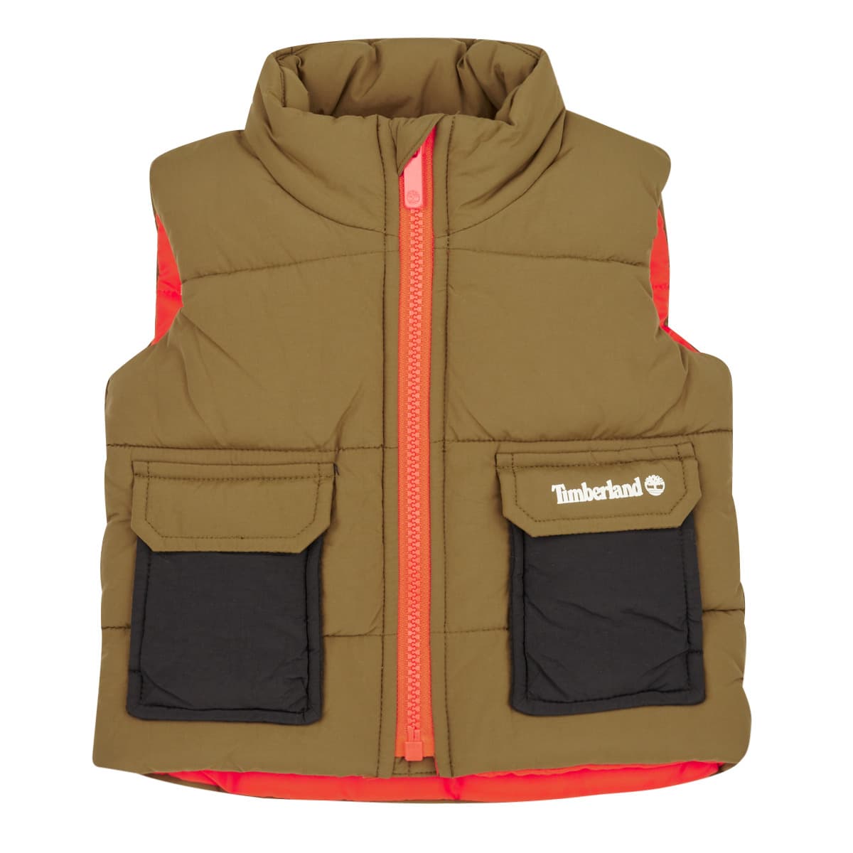 Boys' Jackets Timberland Multicolor