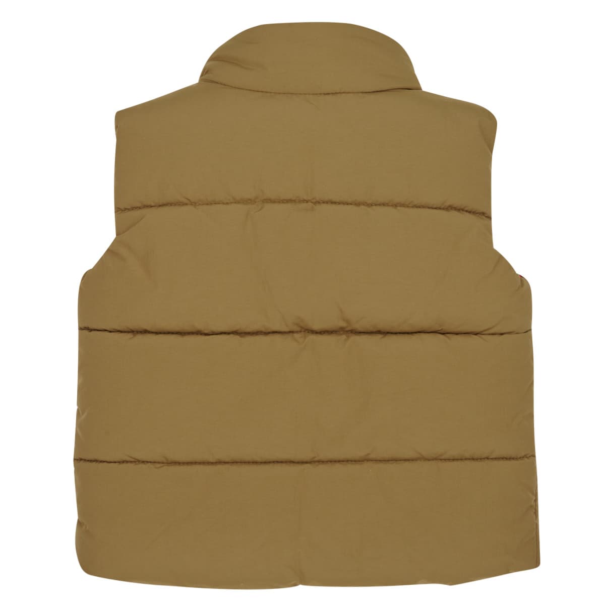 Boys' Jackets Timberland Multicolor