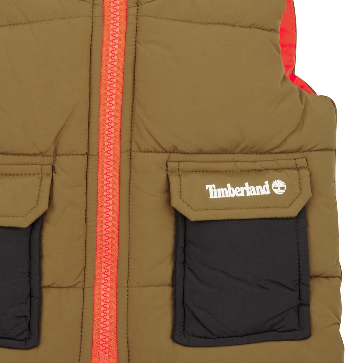 Boys' Jackets Timberland Multicolor