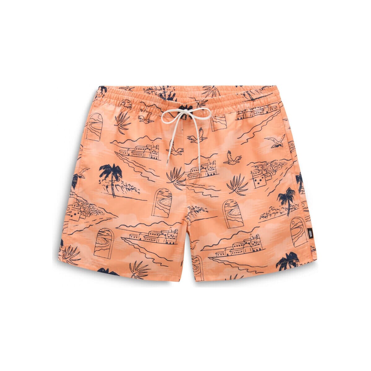 Men's Swimwear Vans Brown