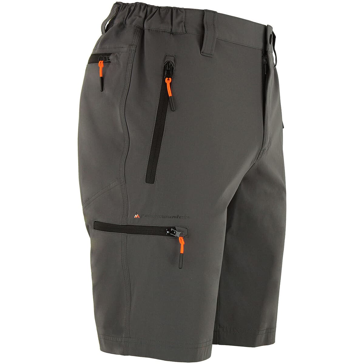 Men's Shorts Peak Mountain Gray