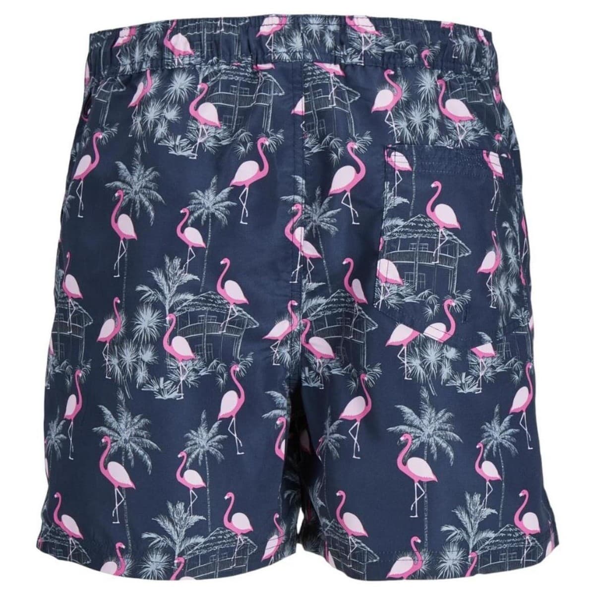 Men's Swimwear Jack & Jones Blue