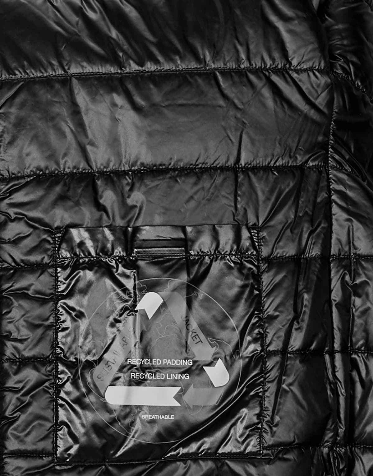 Women's Coats Geox Black