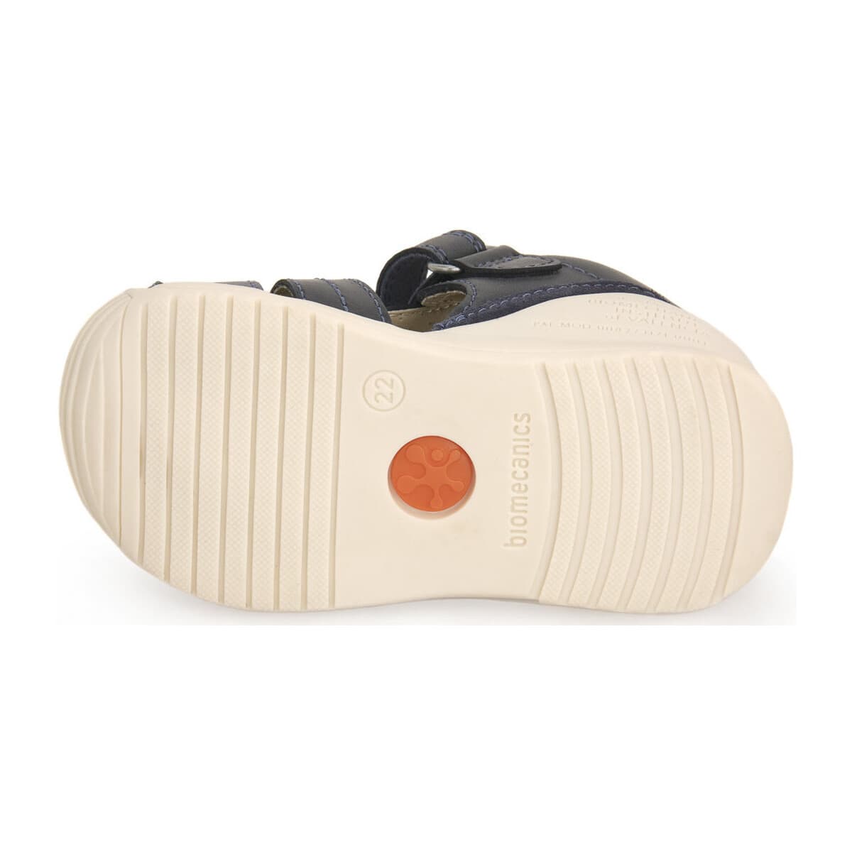 Boys' Sandals Biomecanics Blue