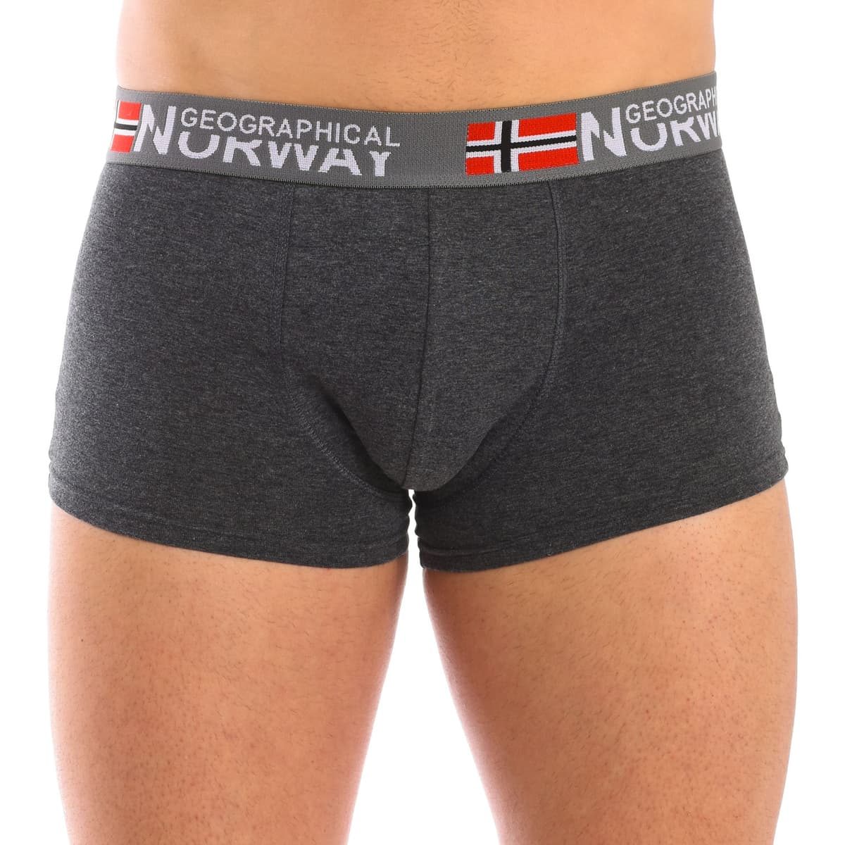 Men's Boxer Briefs Geographical Norway Multicolor