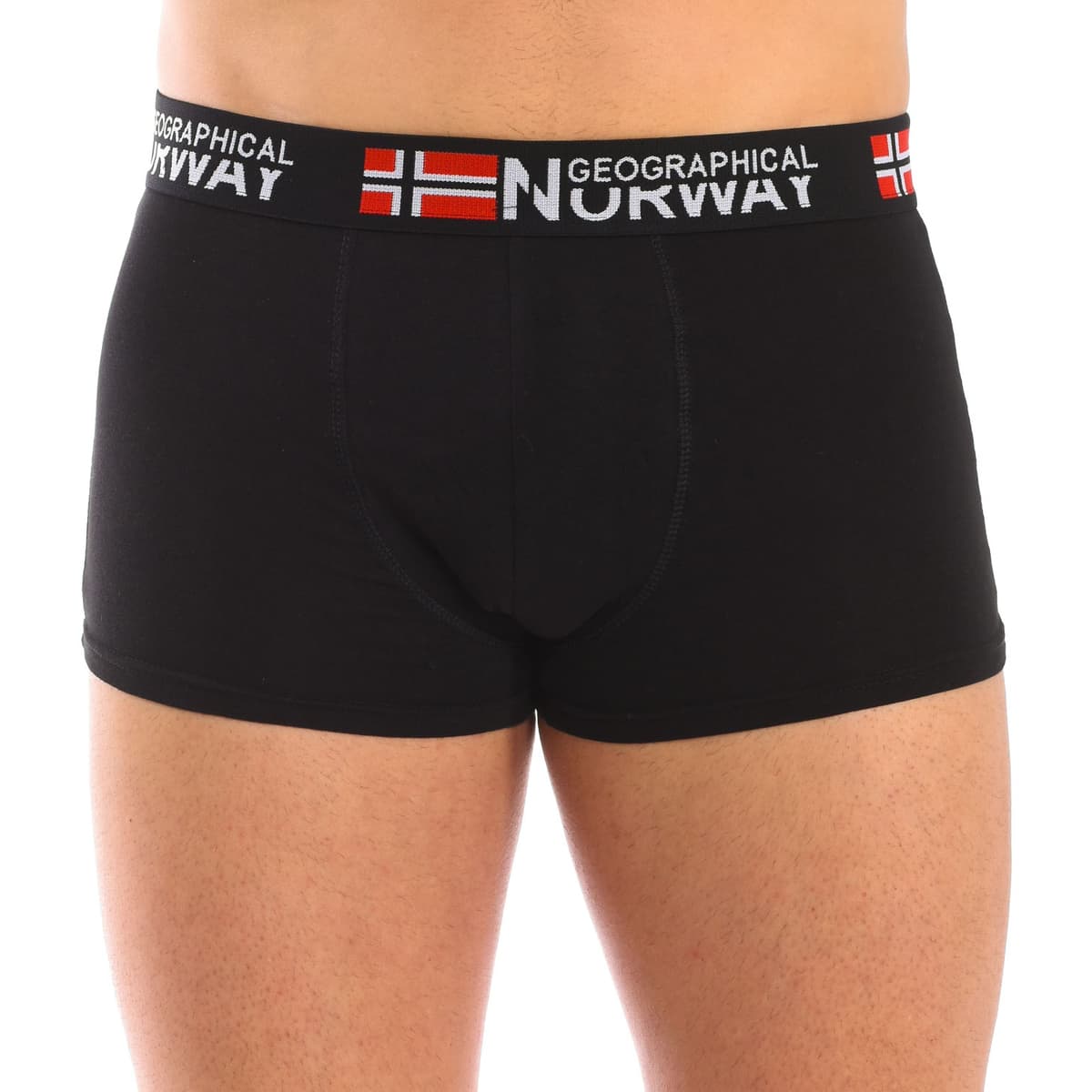 Men's Boxer Briefs Geographical Norway Multicolor