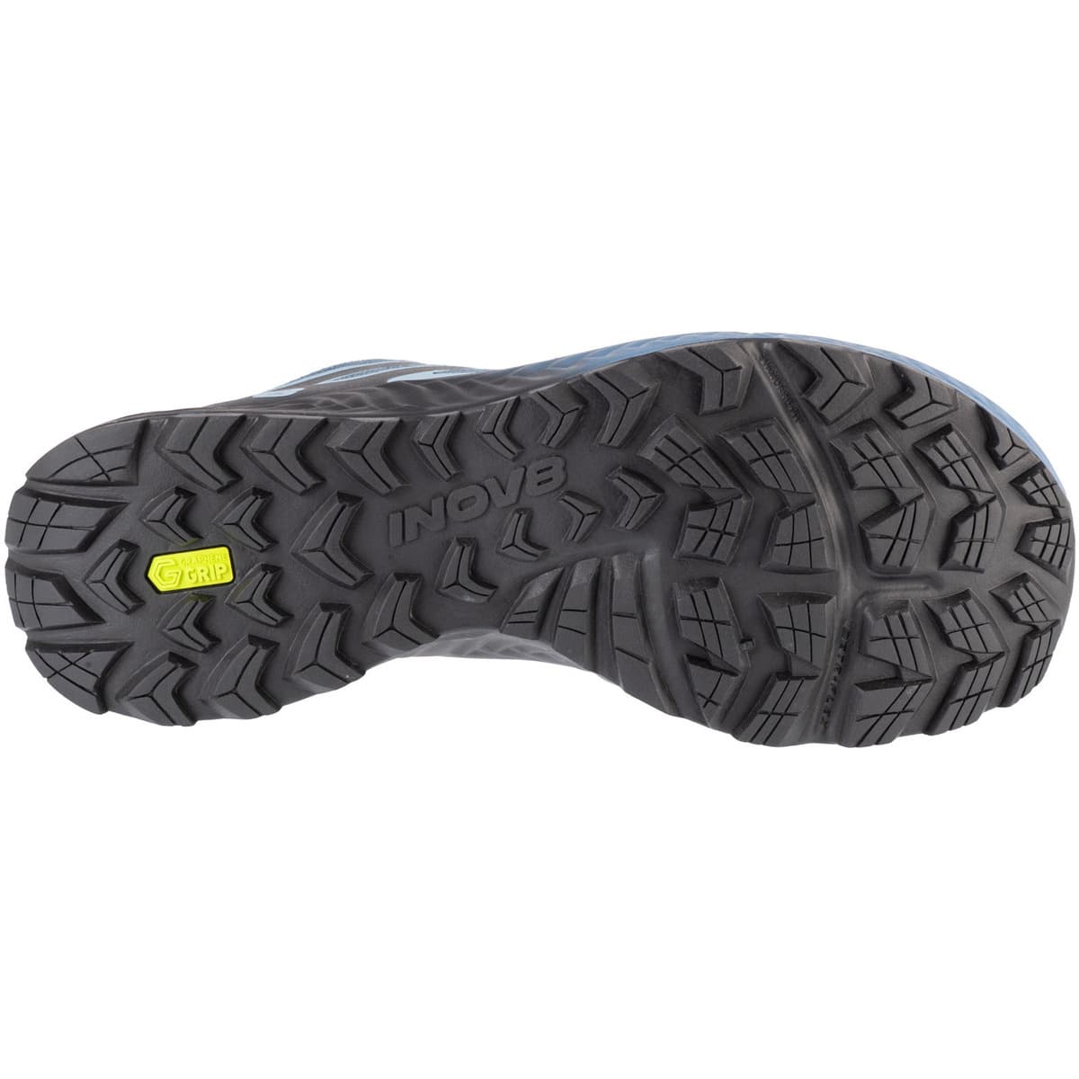 Men's Running Shoes Inov 8 Blue