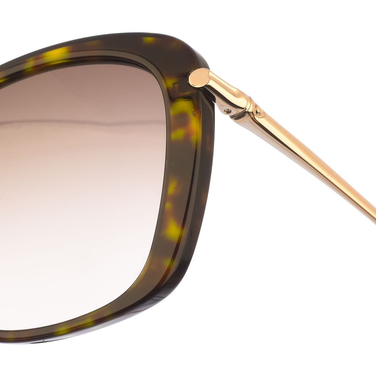 Women's Sunglasses Longchamp Multicolor