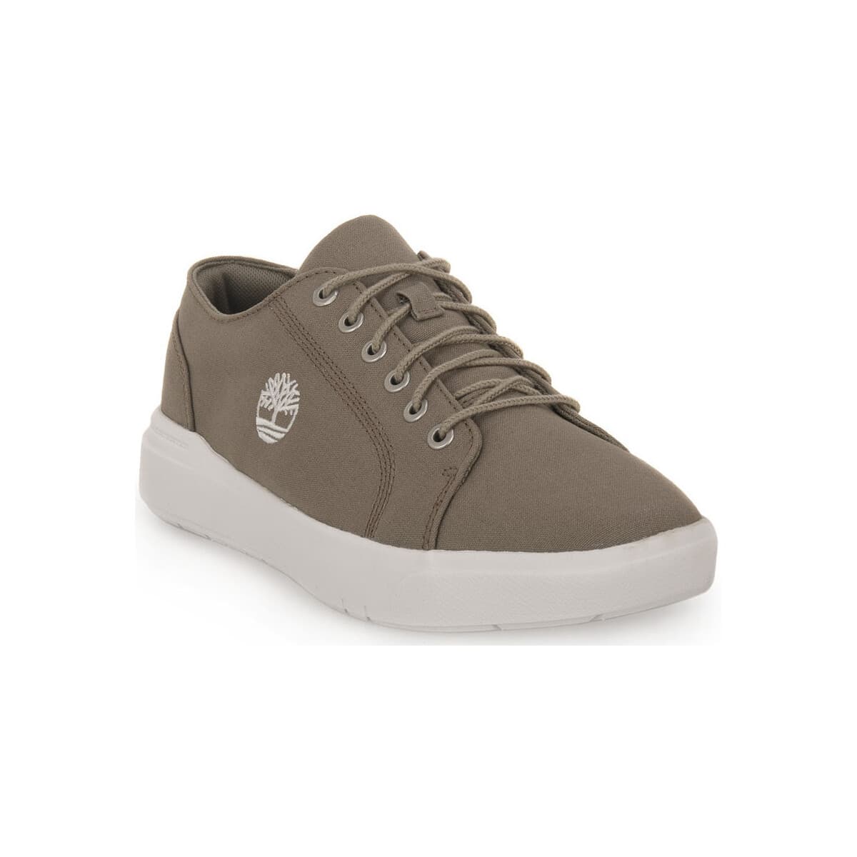 Men's Sneakers Timberland Green