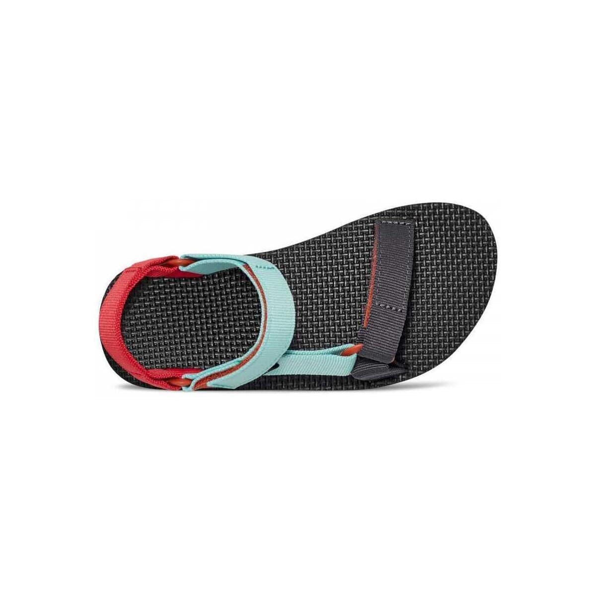 Boys' Sandals Teva Multicolor