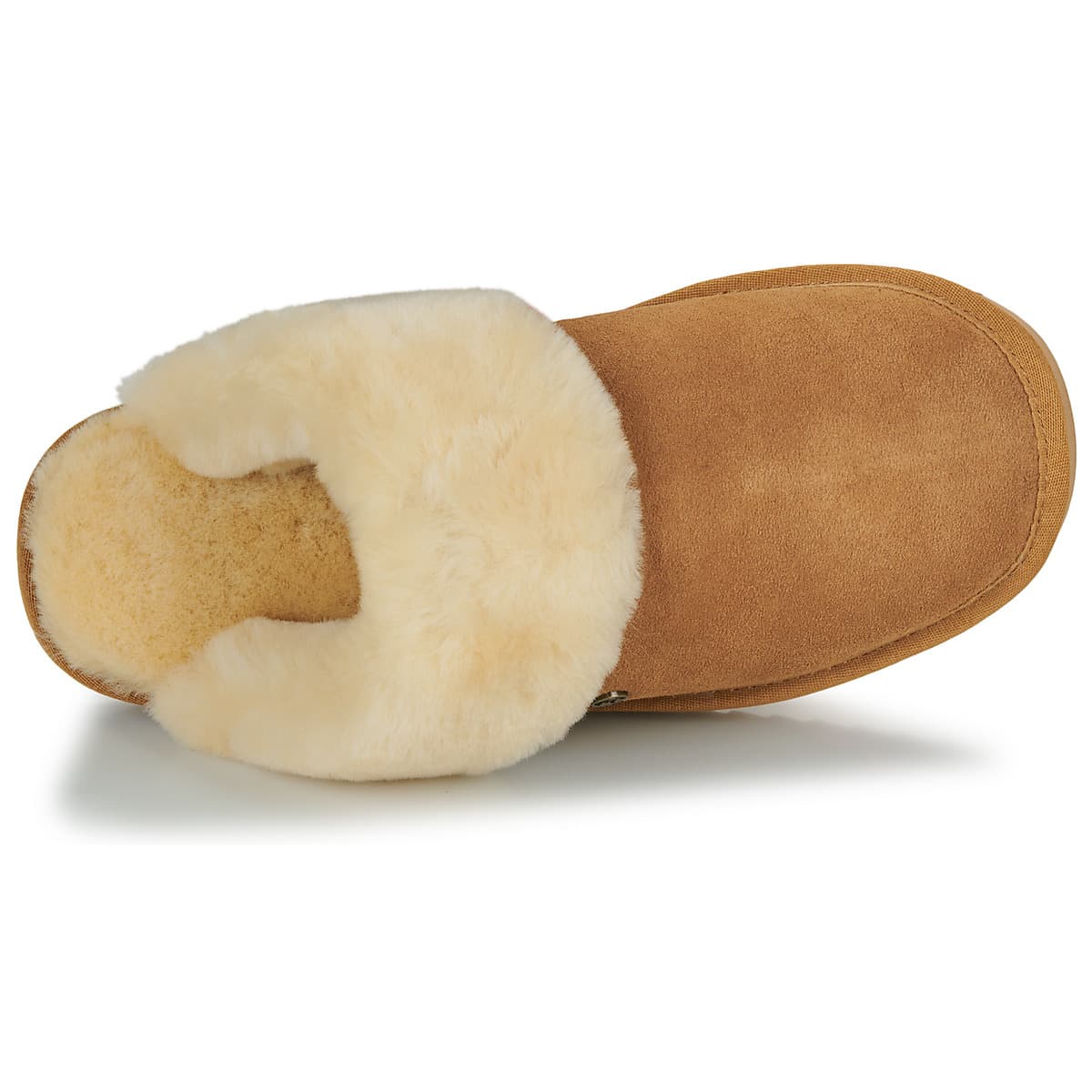 Women's House Slippers Warmbat Brown